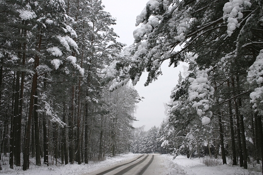 Žiemos kelias